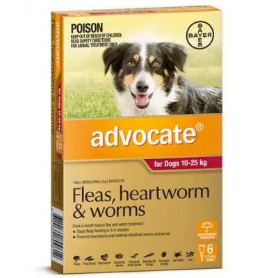 tranquil chews for dogs