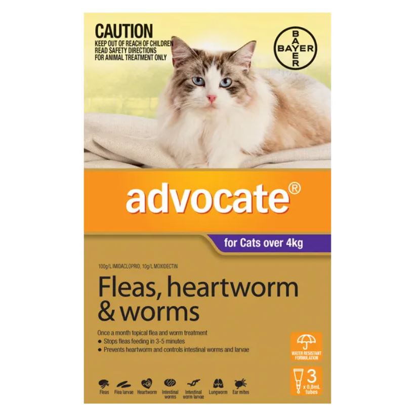 Advocate drops hot sale for cats