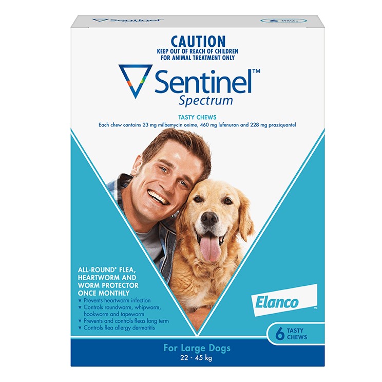 sentinel green 6 pack