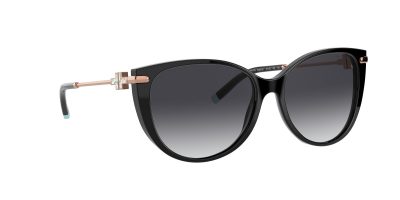 Tiffany & Co. Sunglasses TF4178