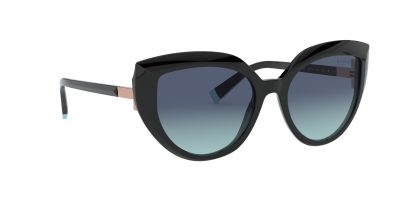 Tiffany & Co. Sunglasses TF4170