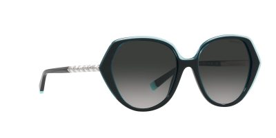 Tiffany & Co. Sunglasses TF4179B