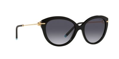 Tiffany & Co. Sunglasses TF4187