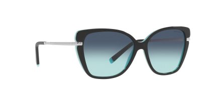 Tiffany & Co. Sunglasses TF4190