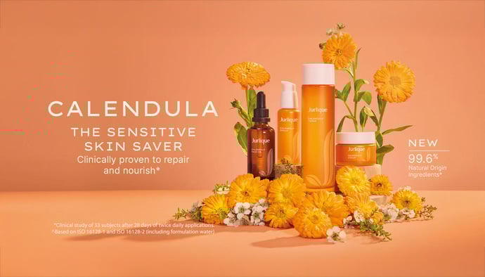 Calendula2025_Landing_Page_KV_Desktop