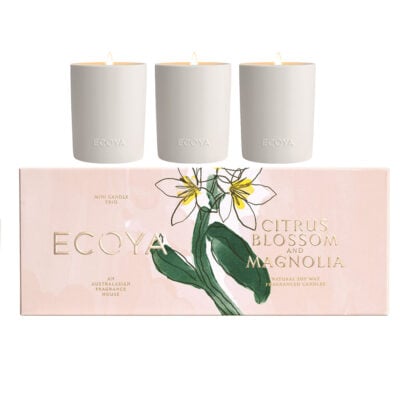 ecoya trio 2